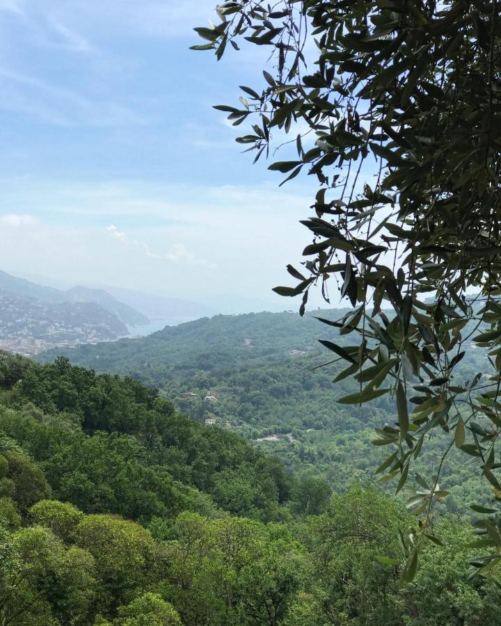 La Riviera Bed & Breakfast Bed & Breakfast Rapallo Luaran gambar