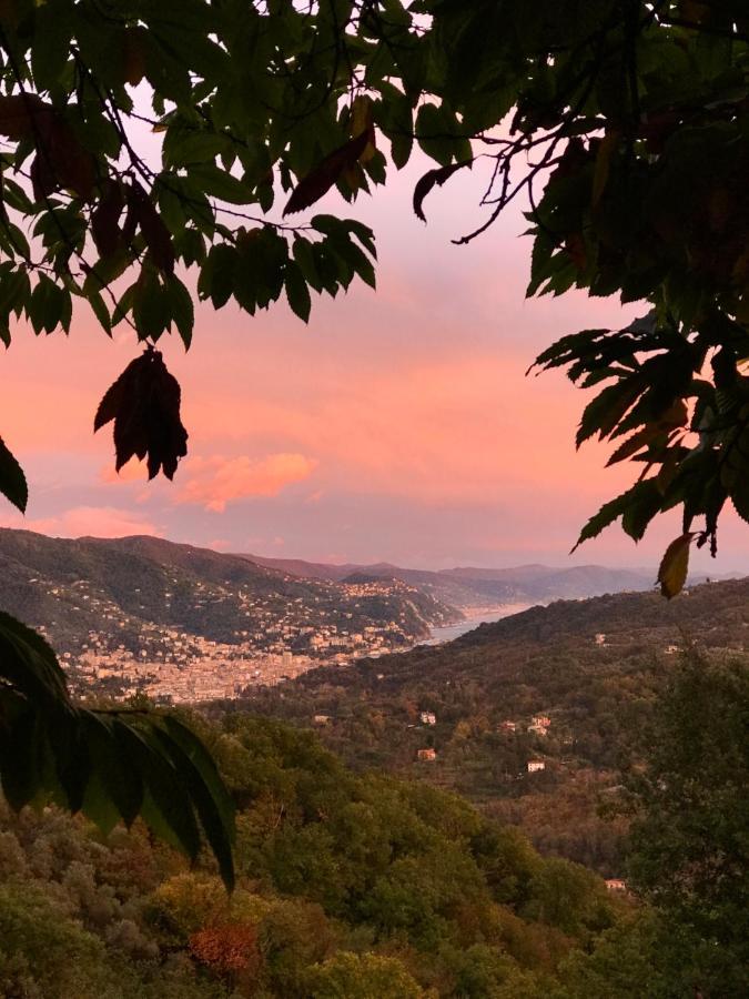 La Riviera Bed & Breakfast Bed & Breakfast Rapallo Luaran gambar